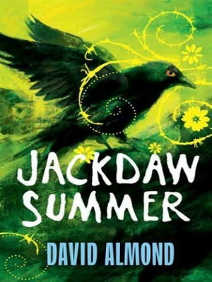 cover image of Jackdaw Summer